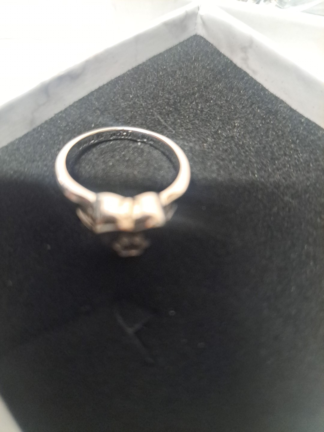 Sterling Silver Dog Urn Ring for Ashes Dog Memorial Keepsake Cremation…