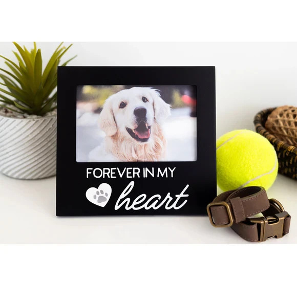 Pearhead Pet Forever In My Heart Memorial Keepsake Picture Frame, Color Varies