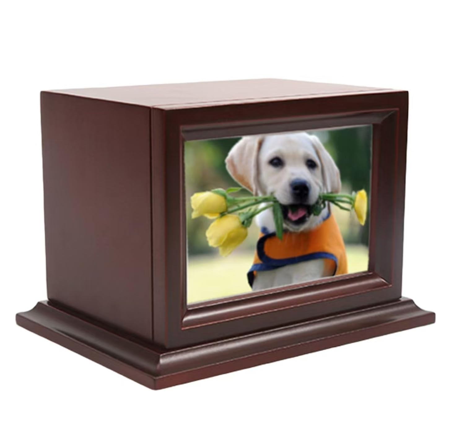 Pet Memorial Keepsake Urn for Small/Medium Dogs & Cats, Photo Box Cremation Urn,