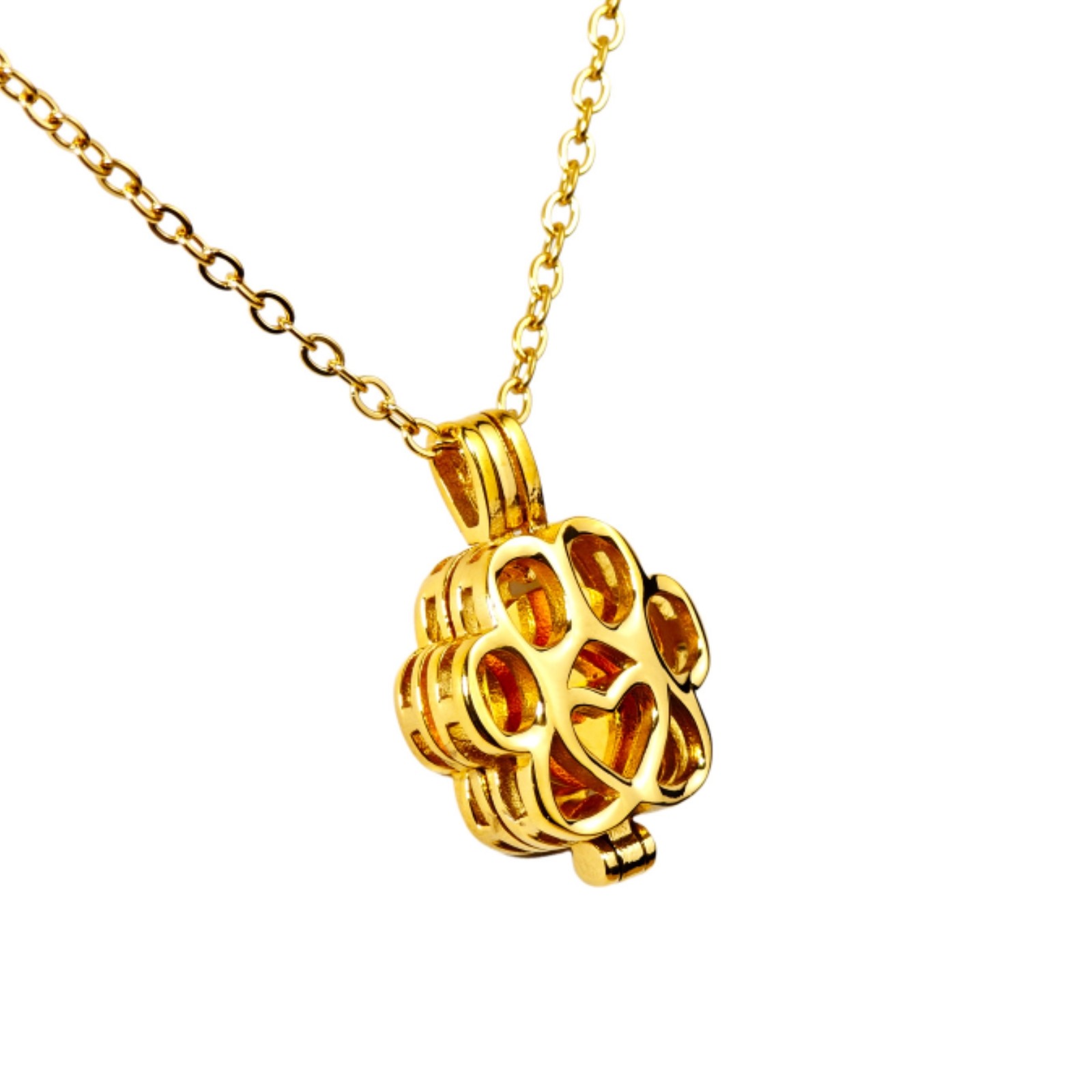 Paw Print Heart Pet Ashes Memorial Necklace with Inner Box For Dog&Cat（Gold）