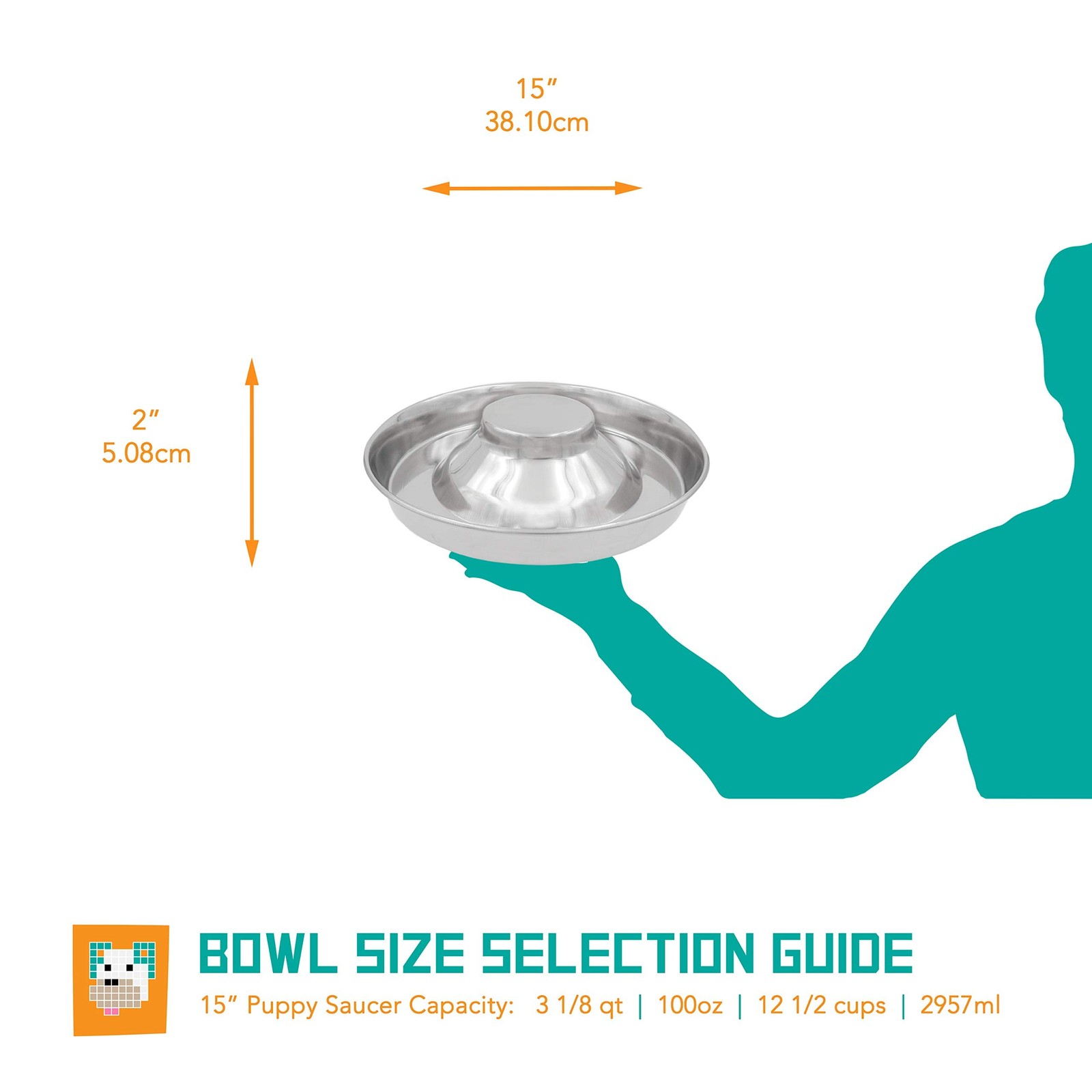 Stainless Steel Puppy Kitten Bowls: Welping Dishes for Weaning Puppies & Kitt…