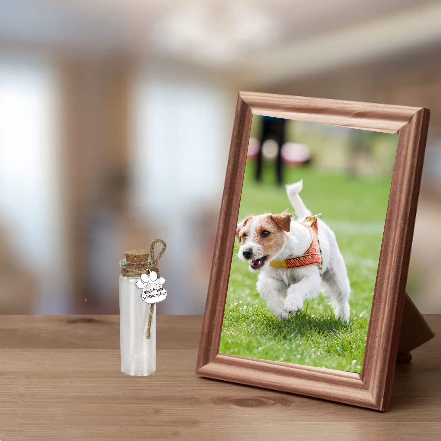 Pet Hair Memorial Bottle, Glass Vial for Ashes Or Hair Dog Or Cat Keepsake Gift