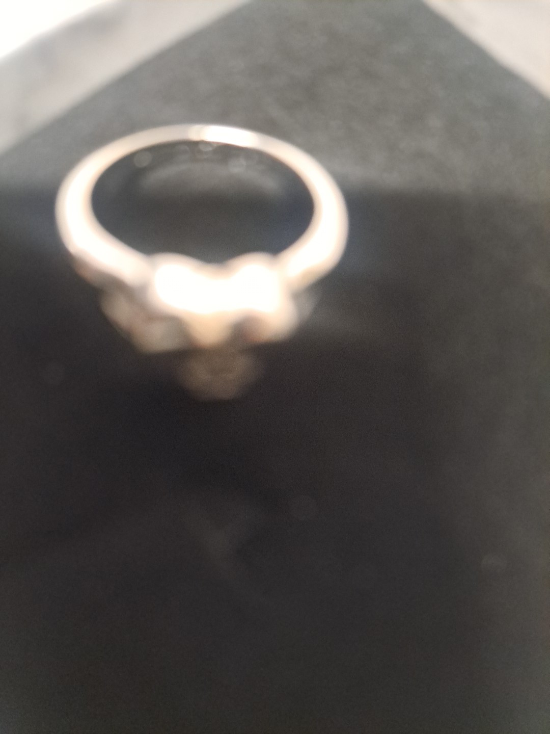 Sterling Silver Dog Urn Ring for Ashes Dog Memorial Keepsake Cremation…
