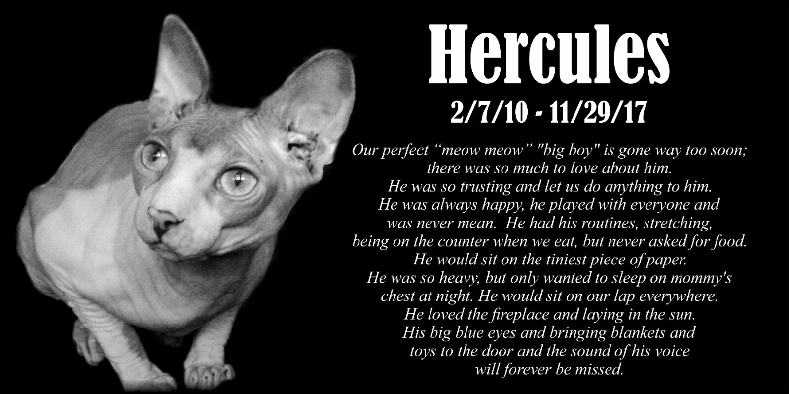Personalized Pet Stone Memorial Grave Marker Granite Plaque Human headstone