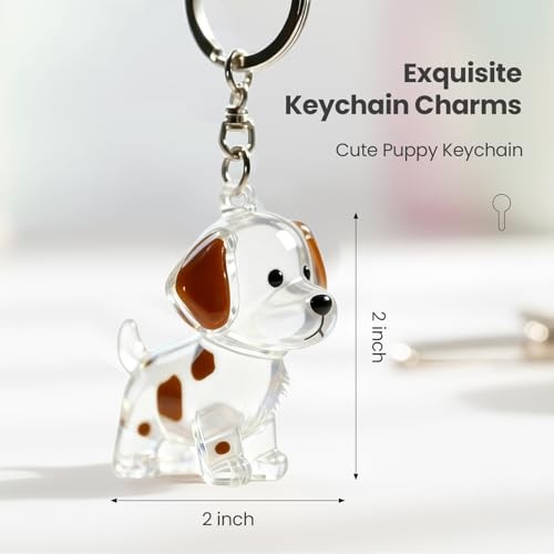 Dog Hair Keychain,Transparent Bottle for Fur,Dog Memorial Gifts for Loss,Pet