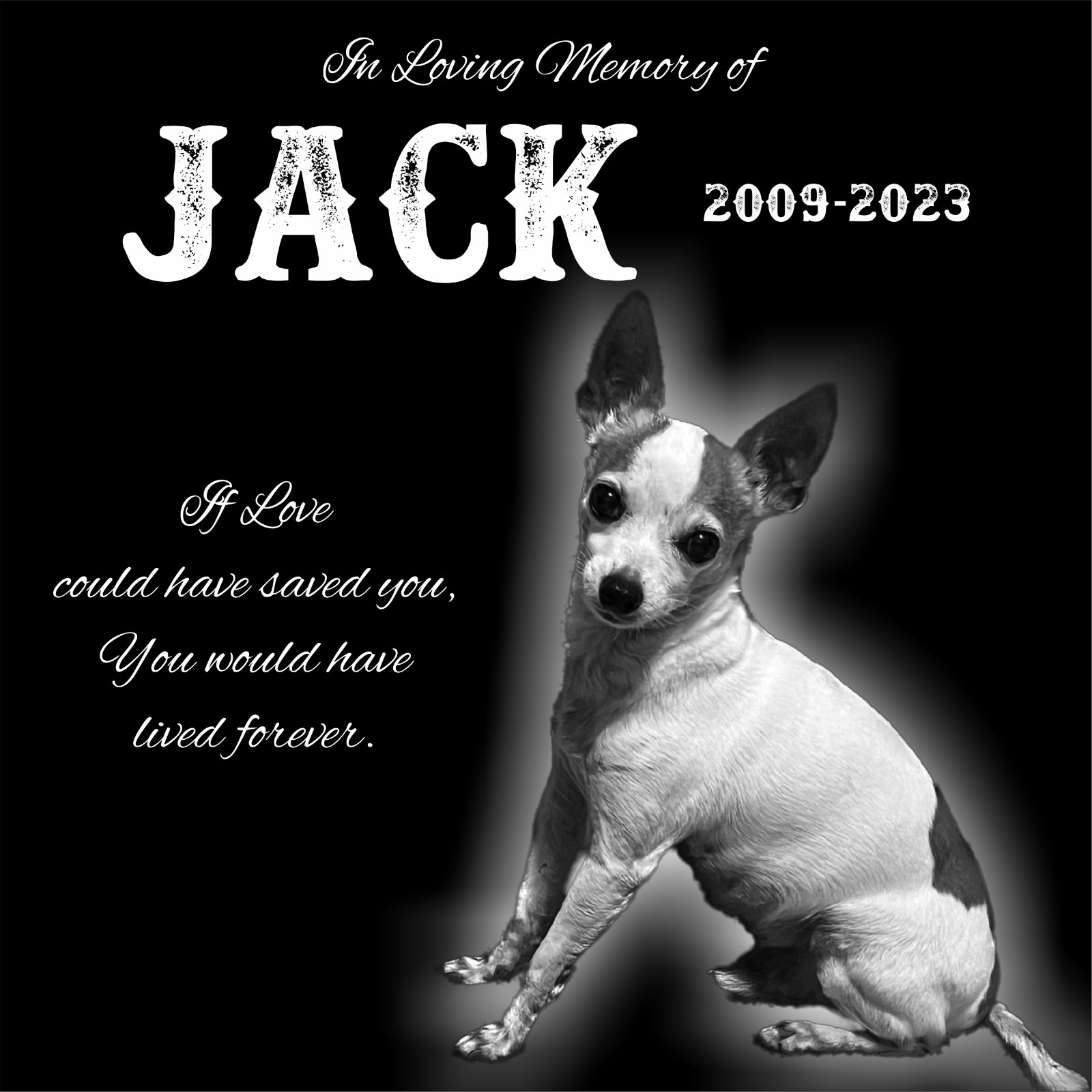 Personalized Pet Memorial Grave Marker Granite Plaque Human headstone dog 12×12