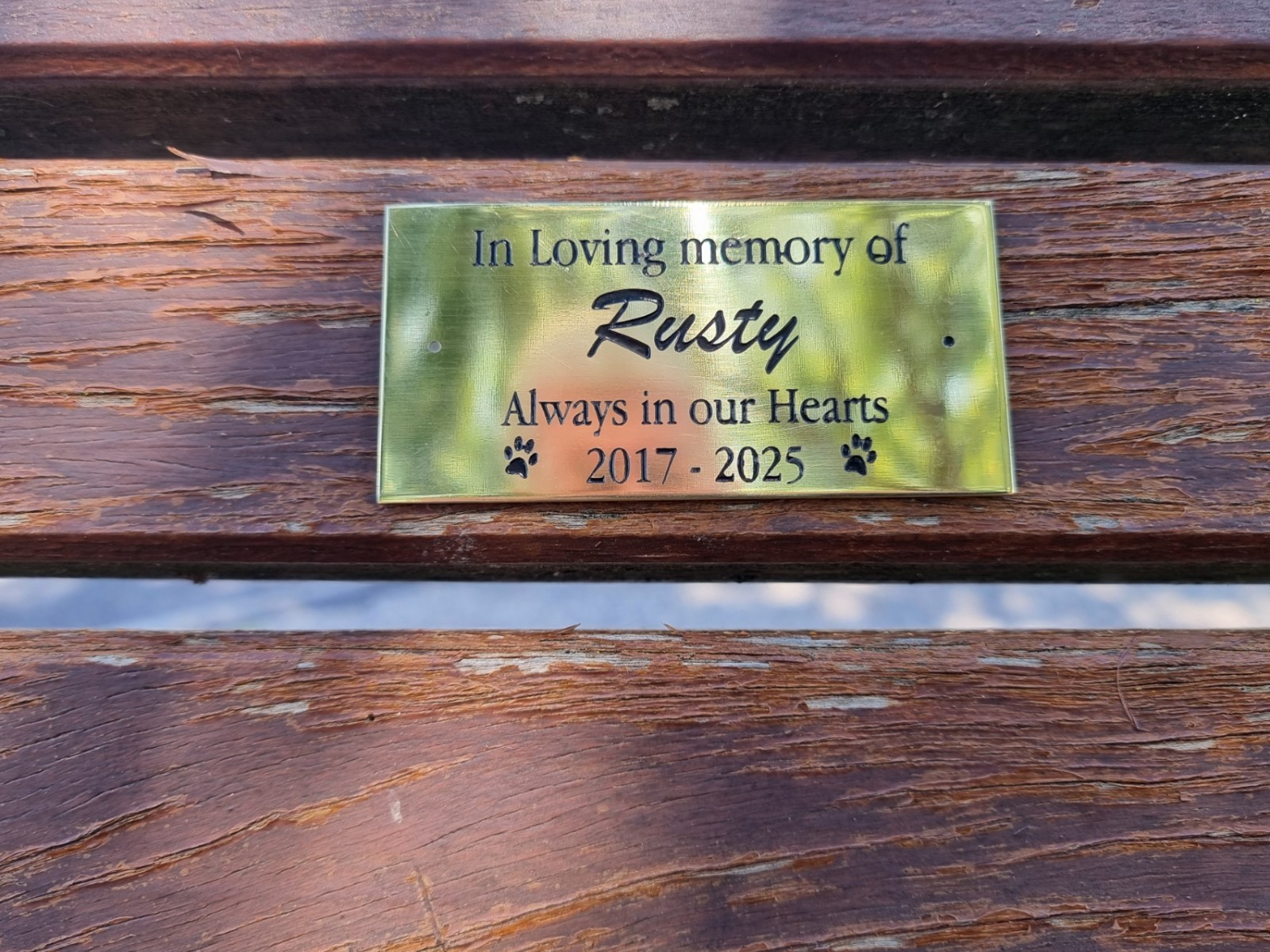 Solid Brass Pet Memorial Plaque