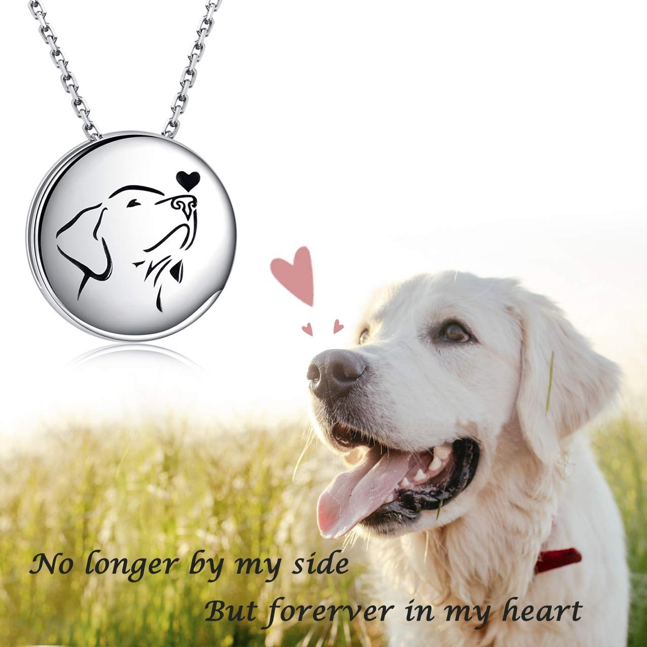 Apotie Pet Cremation Necklace For Dog – Always In My Heart Paw Print