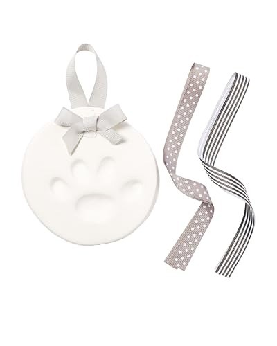 Personalized Paw Print Keepsake Kit for Beloved Pets – Tribute & Memorial