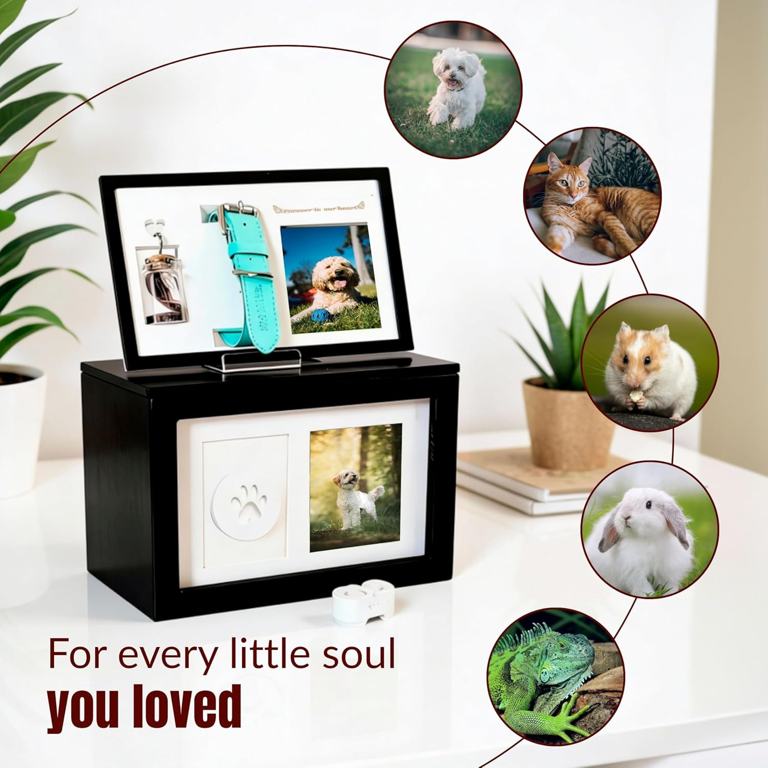 Urn for Ashes for Pets Large 9.5 × 5.71 × 7.13 Pet Urn for Dogs, Dog Ashes Keeps