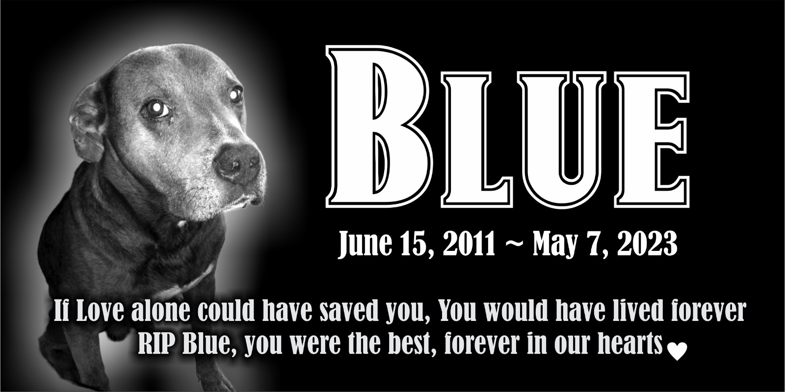 Custom Pet Stone Memorial Grave Marker Granite Plaque Human headstone Cancer