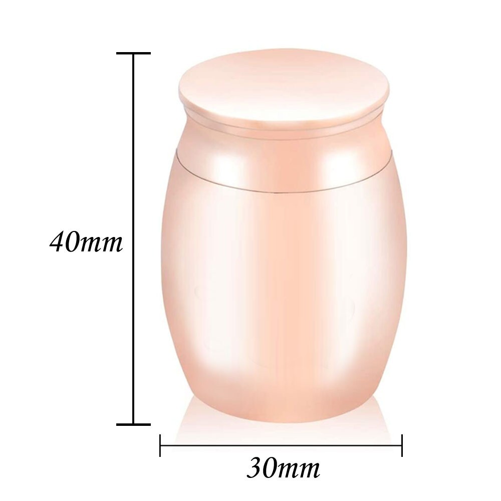 Pet Urn Memorial Jar Cremation Urn For Ashes Small Dog Cat Pet Memorial Keepsake