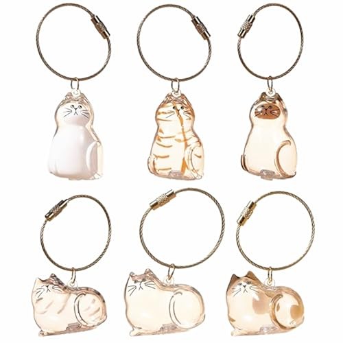 6Pcs Cat Hair Storage Pendant Keychain Pet Hair Keepsake Collector Plastic