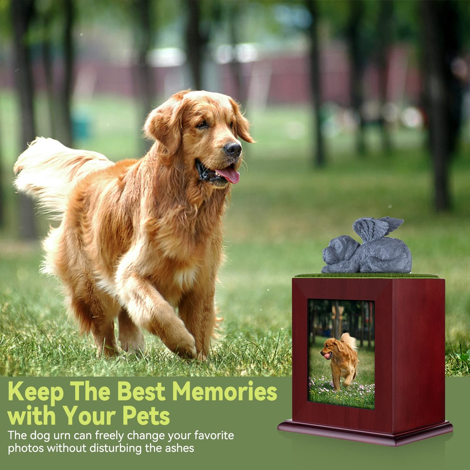 Pet Cremation Urn for Large Dogs, Ashes Photo Box, Wood Keepsake Memorial Urn