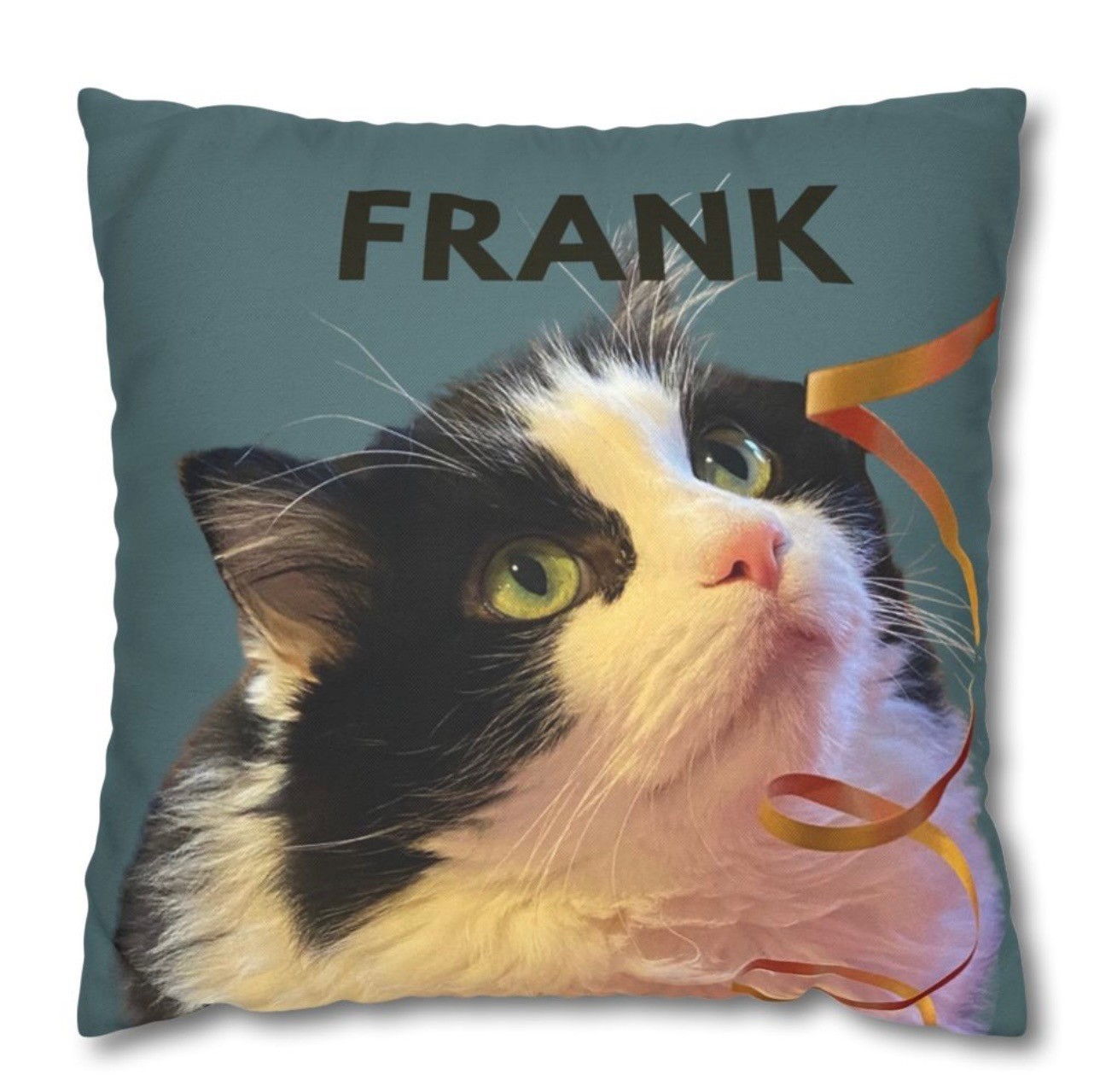 Custom Pet Photo Throw Pillow Insert Included Printed on 2 Sides Made in USA