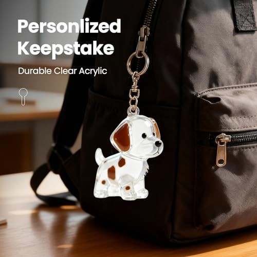 Dog Hair Keychain,Transparent Bottle for Fur,Dog Memorial Gifts for Loss,Pet