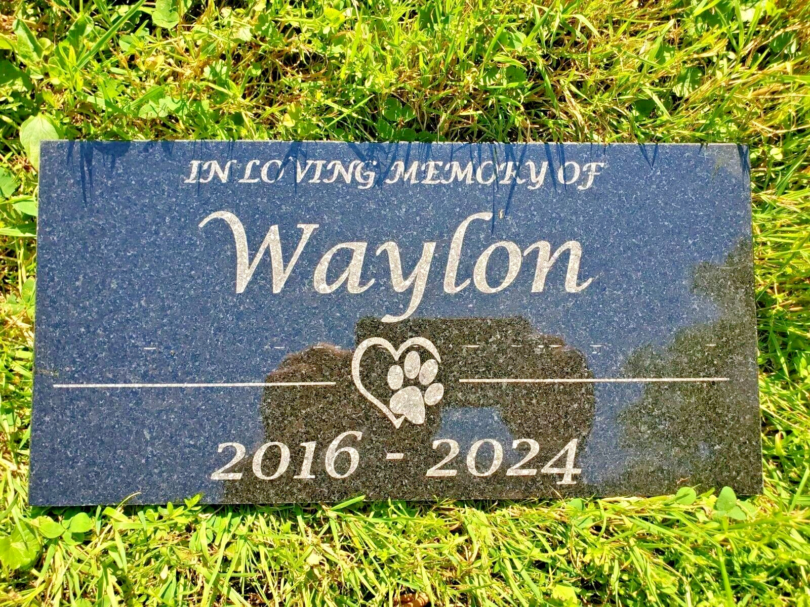 6×12 Granite pet memorial grave head stone plaque marker cat dog loving gift t7