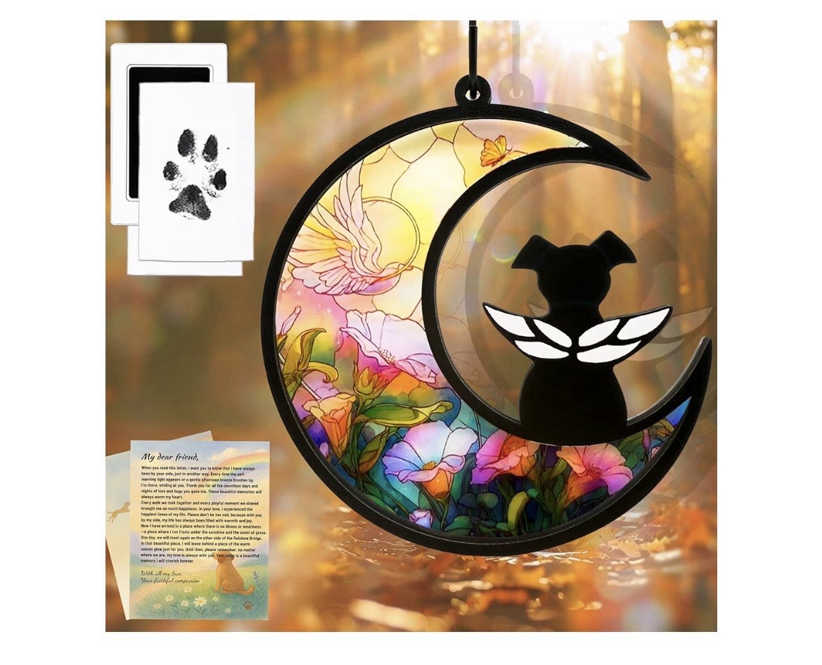 Dog Memorial Gift for Loss of Dog DIY Angel Memorial Suncatcher & Paw Print