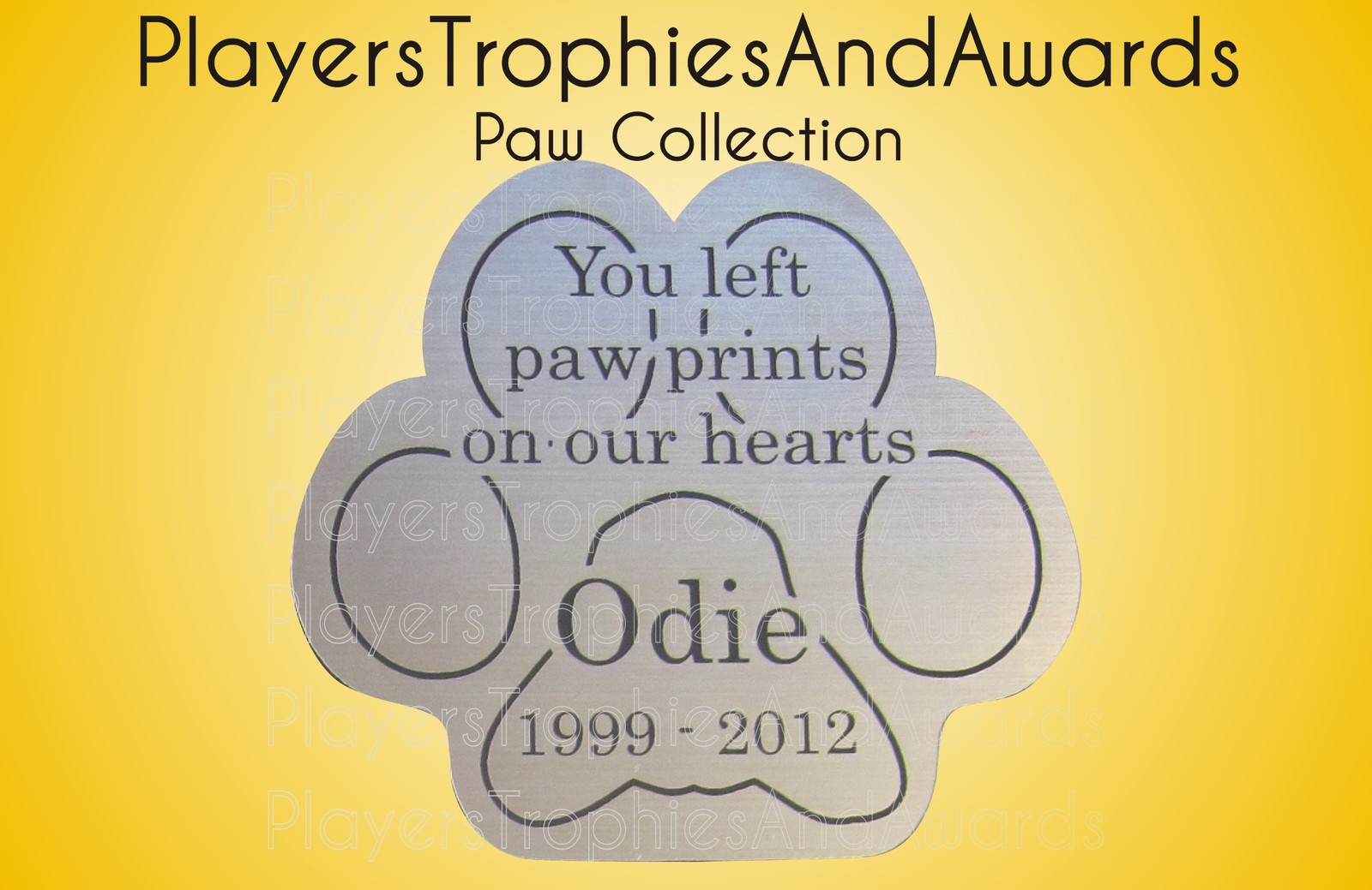 Paw Shape PET MEMORIAL name plate thin plastic CUSTOM laser ENGRAVED tag PTA