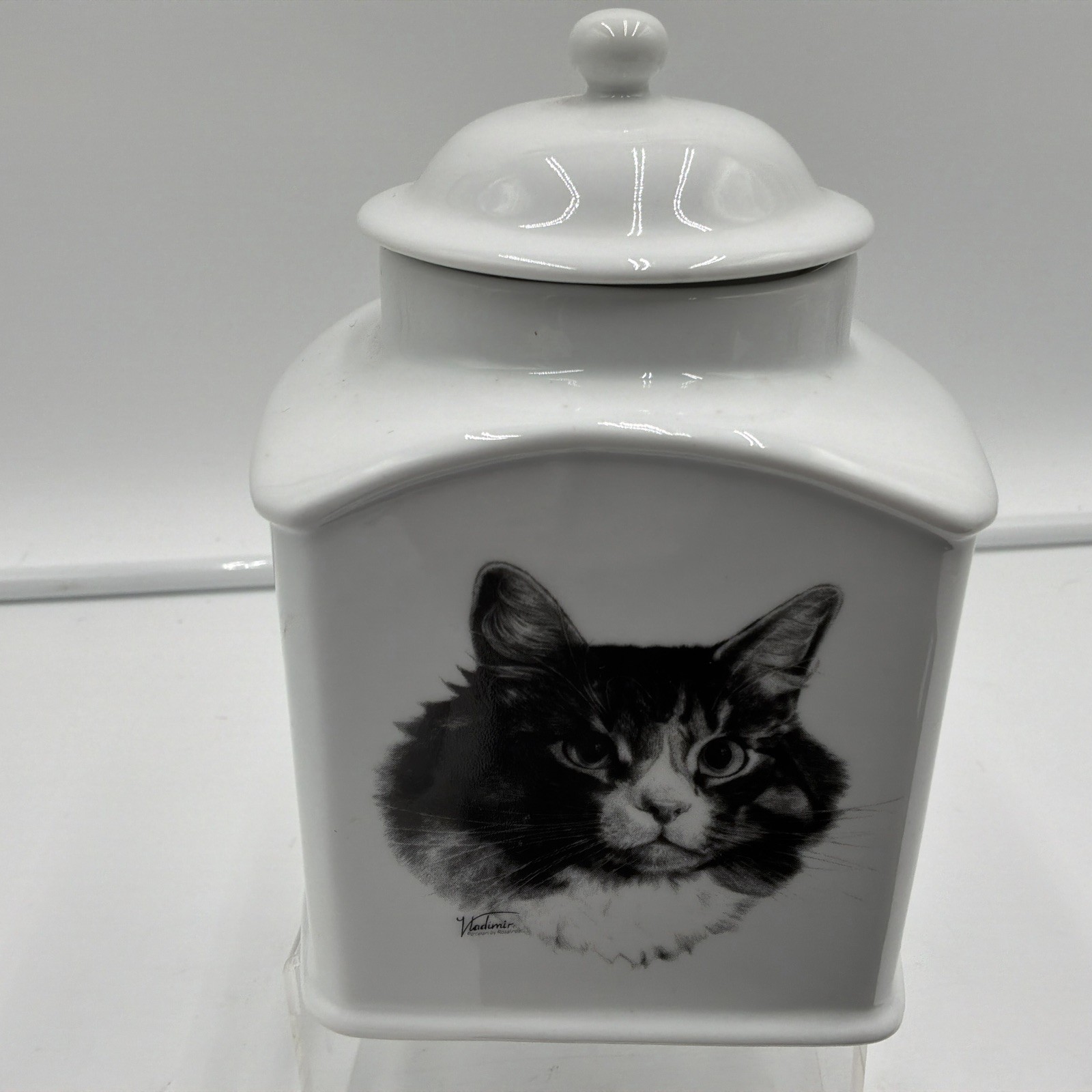 Rosalinde Rainbow Bridge Cat Urn Porcelain Pet Memorial Keepsake Jar USA