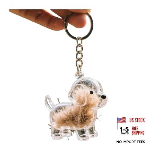 Dogair Collector Keychain Charm Memorial Storage Box, Transparent Bottle for H