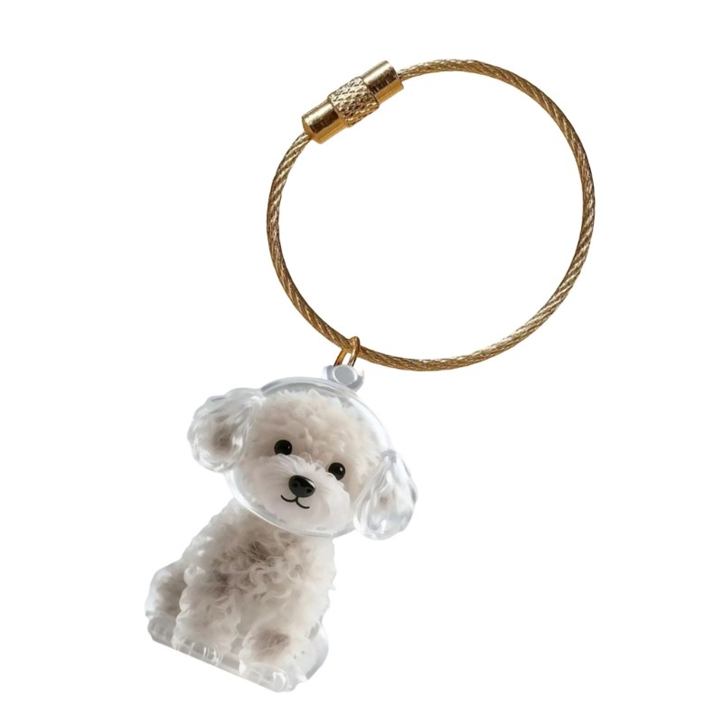 Dog Hair Memorial Box Keychain Clear Display Box Pet Hair Storage Box