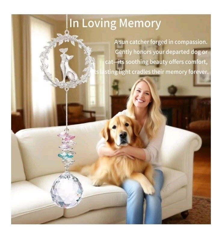 Cat Memorial Suncatcher Gifts, Thoughtful Pet Sympathy for Remembrance Bereav…