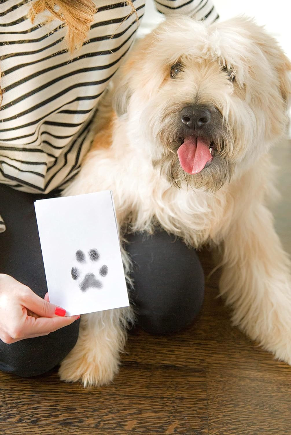 Paw Print Clean Touch Ink Pad Kit for Dogs and Cats, Pet Owner Keepsake, DIY Ink