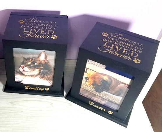 Pet Urn Memorial Custom Engraved | Cat & Dog Wood Cremation Box + Pet Loss Quote