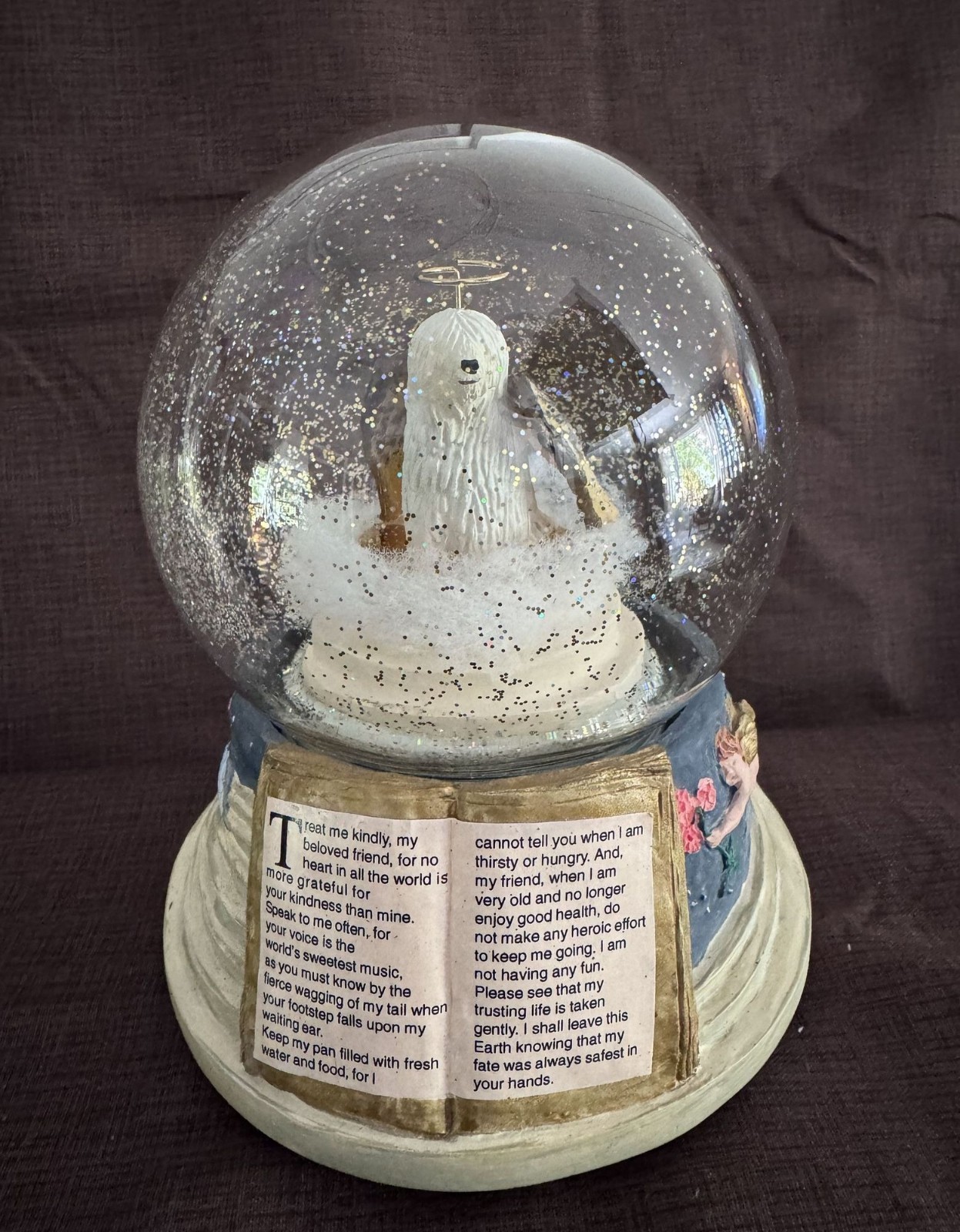 Pet Memorial Music Globe Rainbow Bridge Angel Dog Sympathy Gift