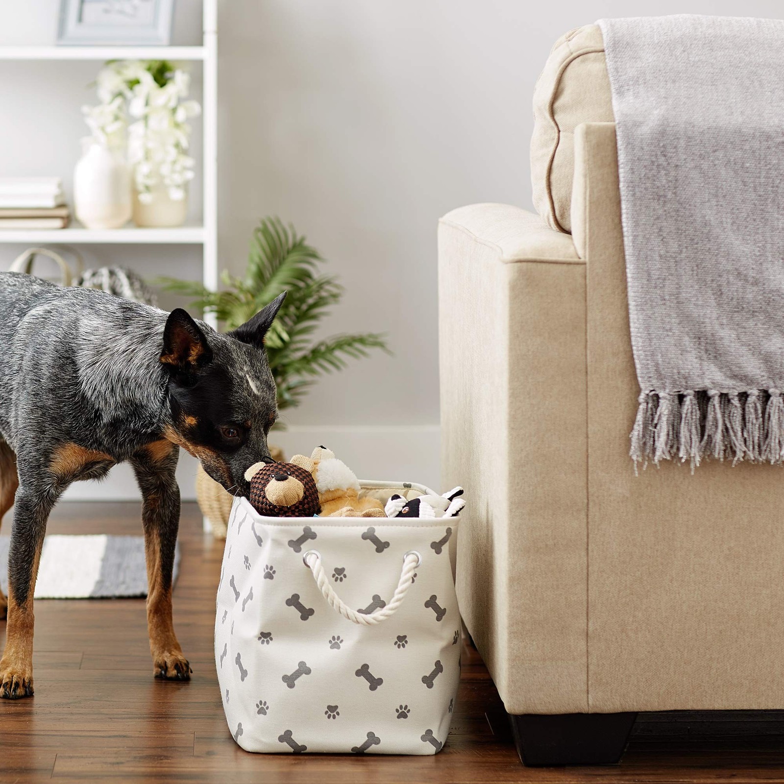 Bone Dry Pet Storage Collection Paw and Bone Print, Medium Rectangle, 16x10x1…