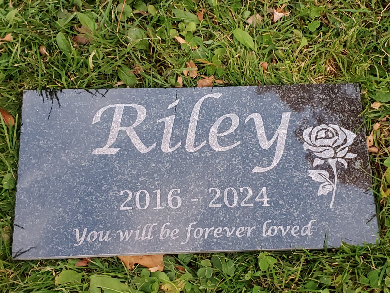 6×12 Pet memorial grave head stone marker cat dog chicken rabbit loss gift t6-2