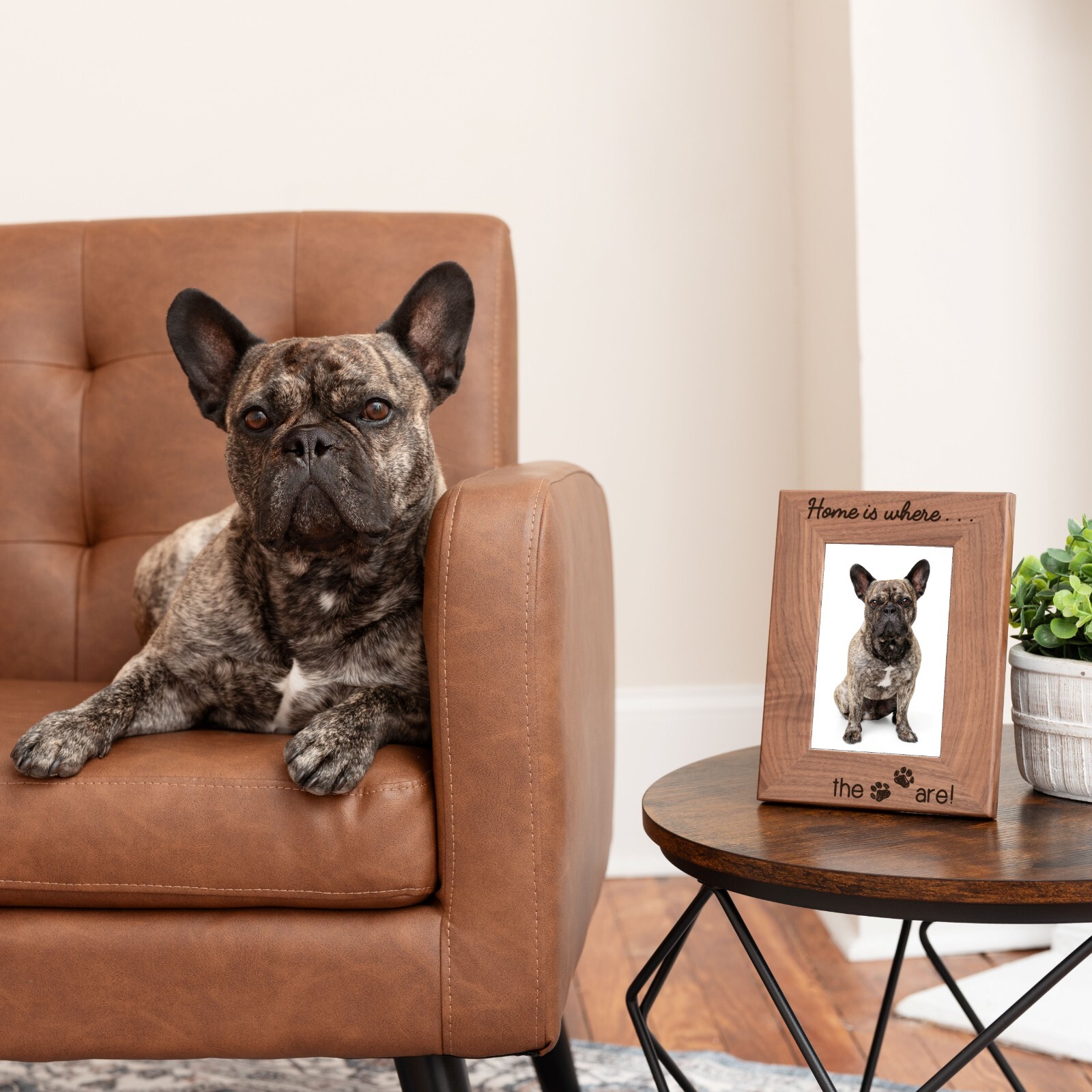 Personalized Pet Picture Frame, Genuine Walnut Pet Photo Frame 4×6, Pet Picture