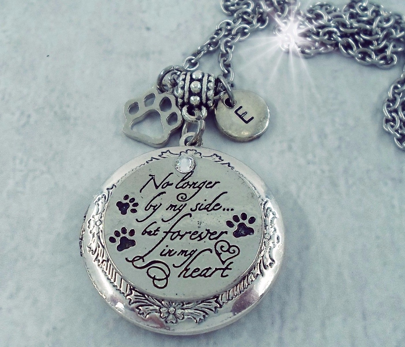No longer by my side but forever in my Heart, Pet Memorial Locket w-Your Photo