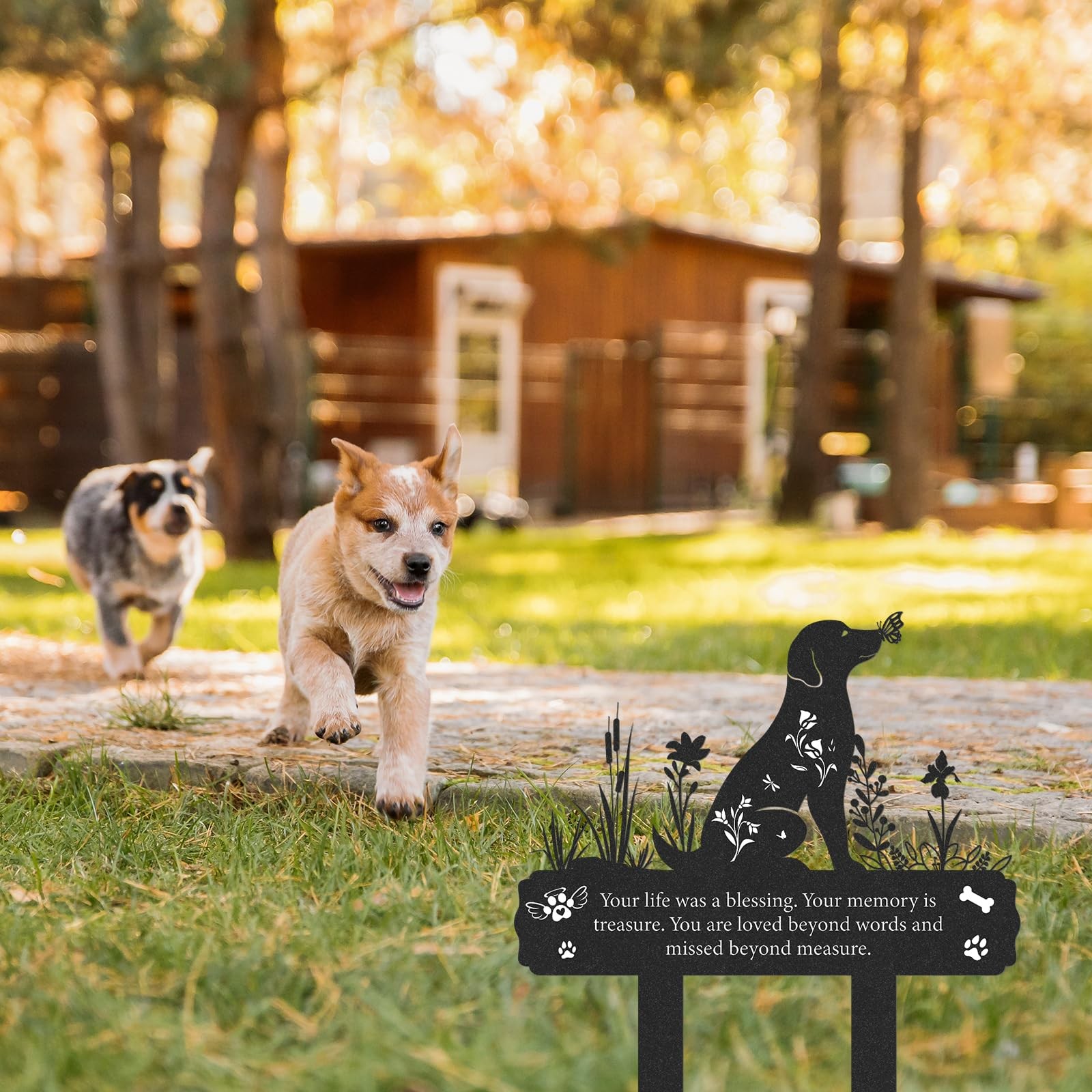 Grave Markers for Cemetery for Dog, Metal Grave Markers Yard Memorial Pet Dog…