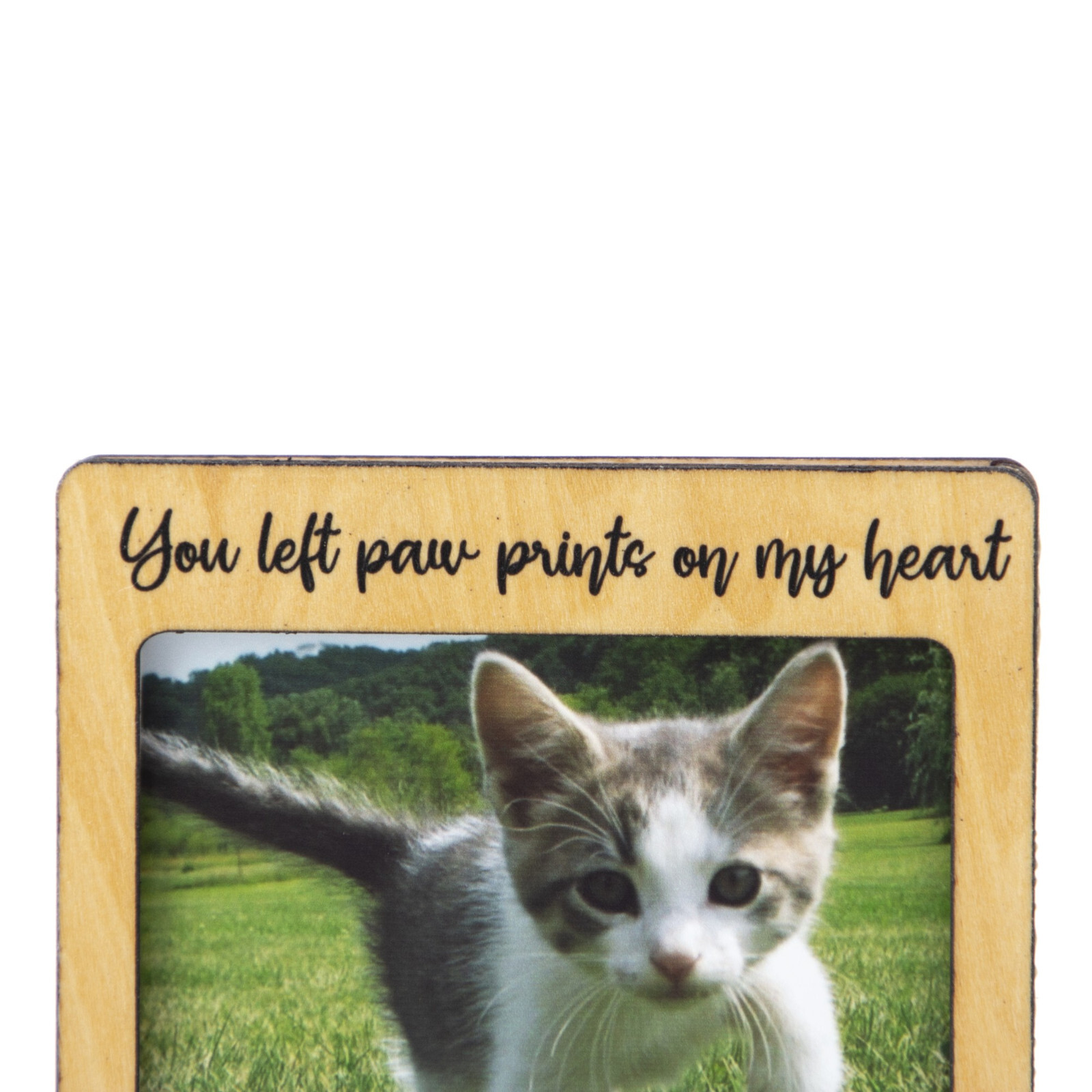 3D Personalized Pet Memorial Portrait Frame, Dog Photo Frame, Cat Photo Frame