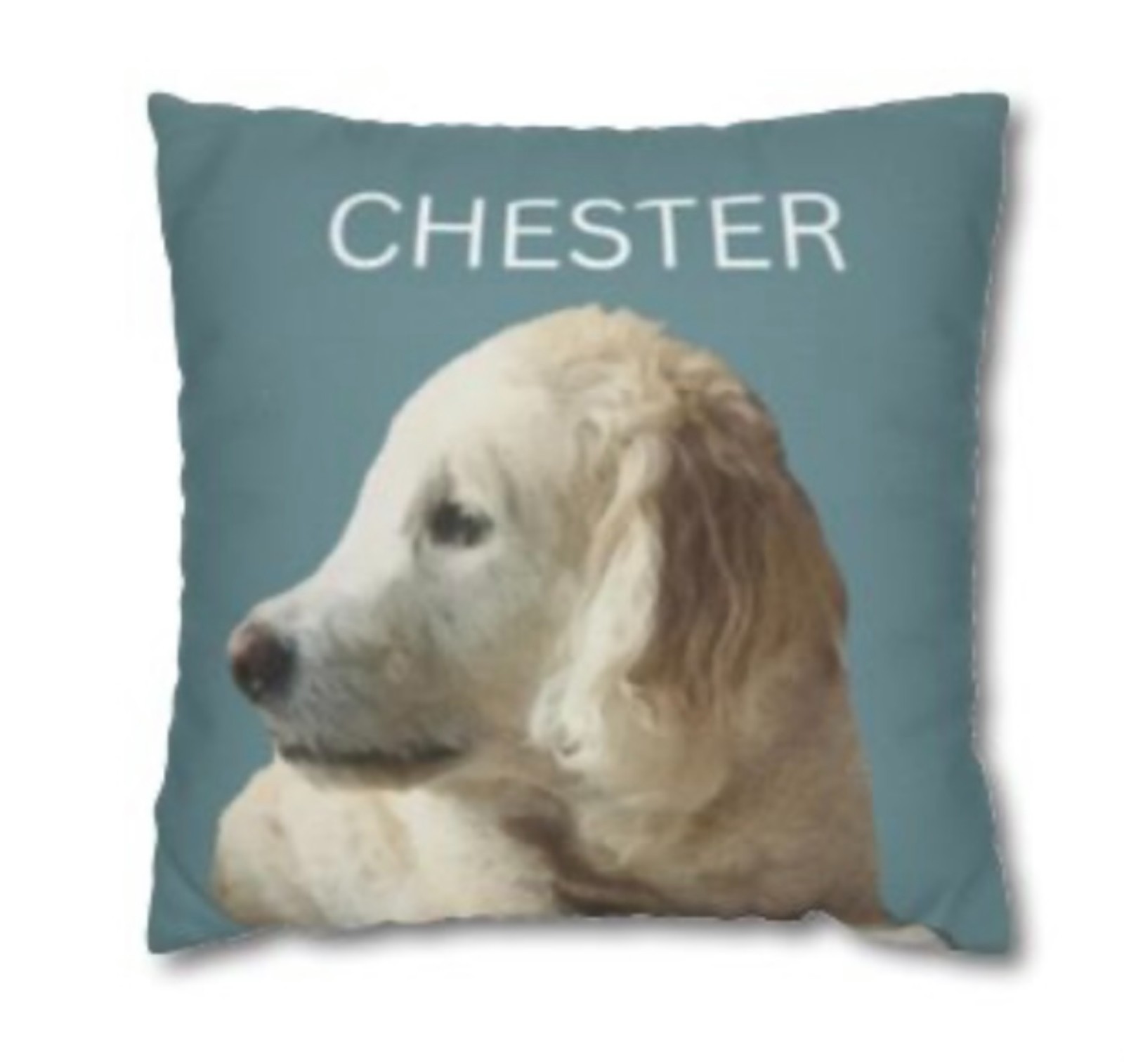 Custom Pet Photo Throw Pillow Insert Included Printed on 2 Sides Made in USA