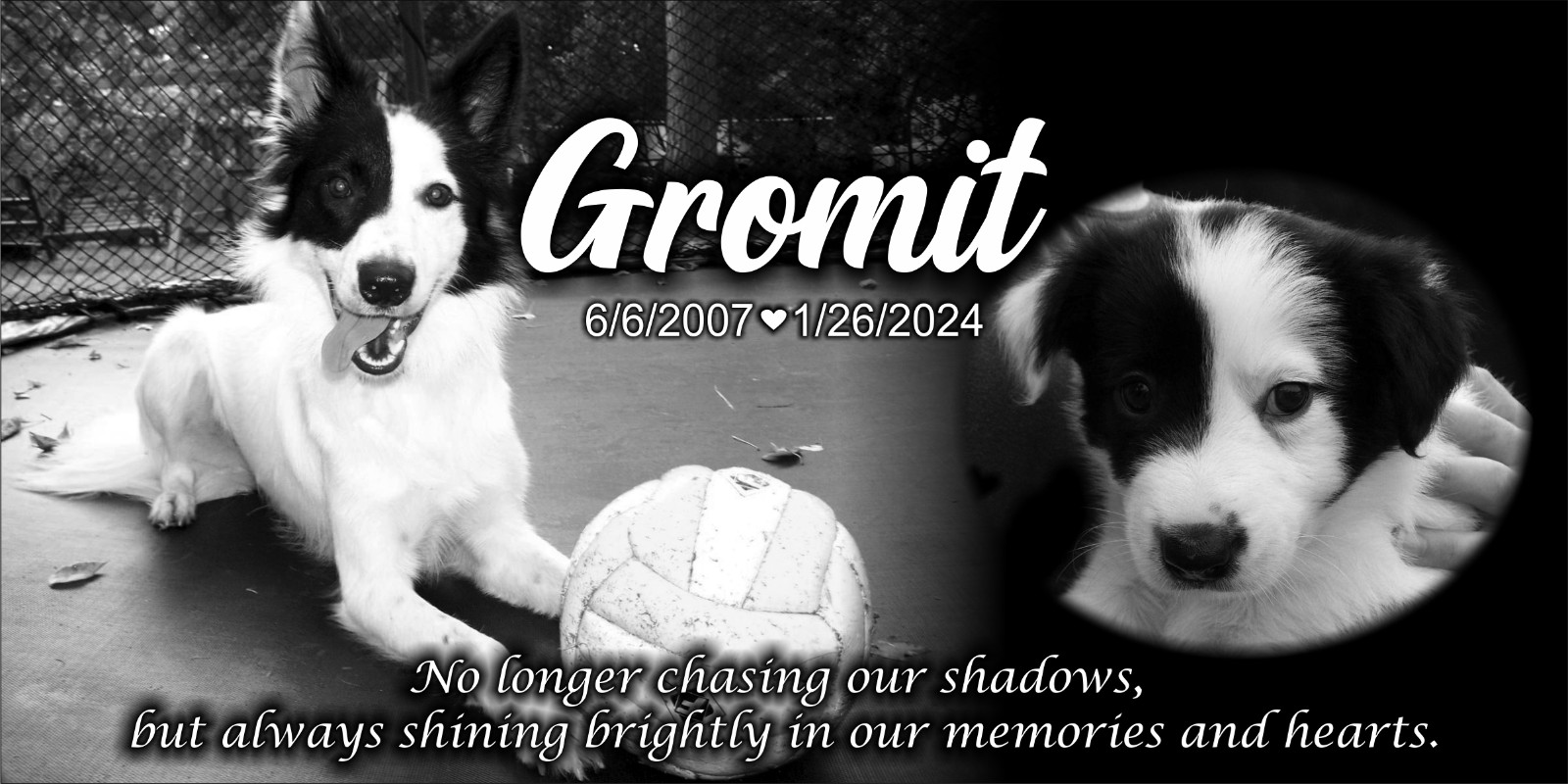Personalized Pet Stone Memorial Grave Marker Granite Plaque Animal Human dog