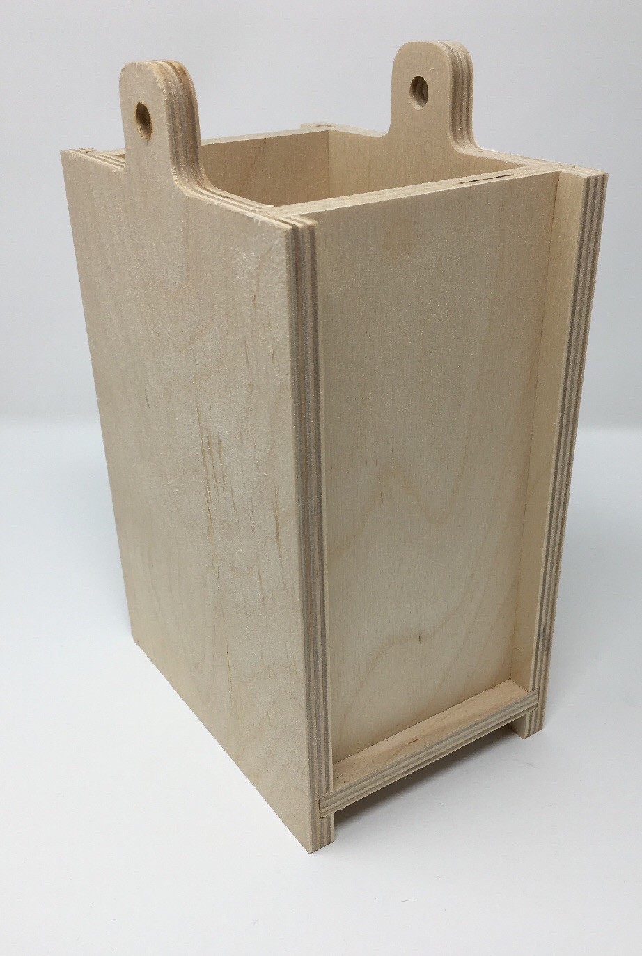 Pet Urn Cremation Burial Memorial Wood Biodegradable Made in USA incl Placque