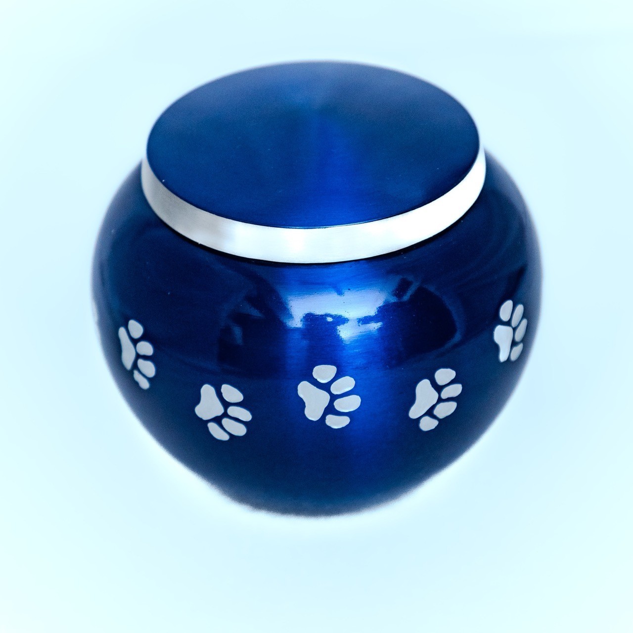 Blue Paw Print Brass Pet Cremation Urn – Loving Memorial for Pet Ashes