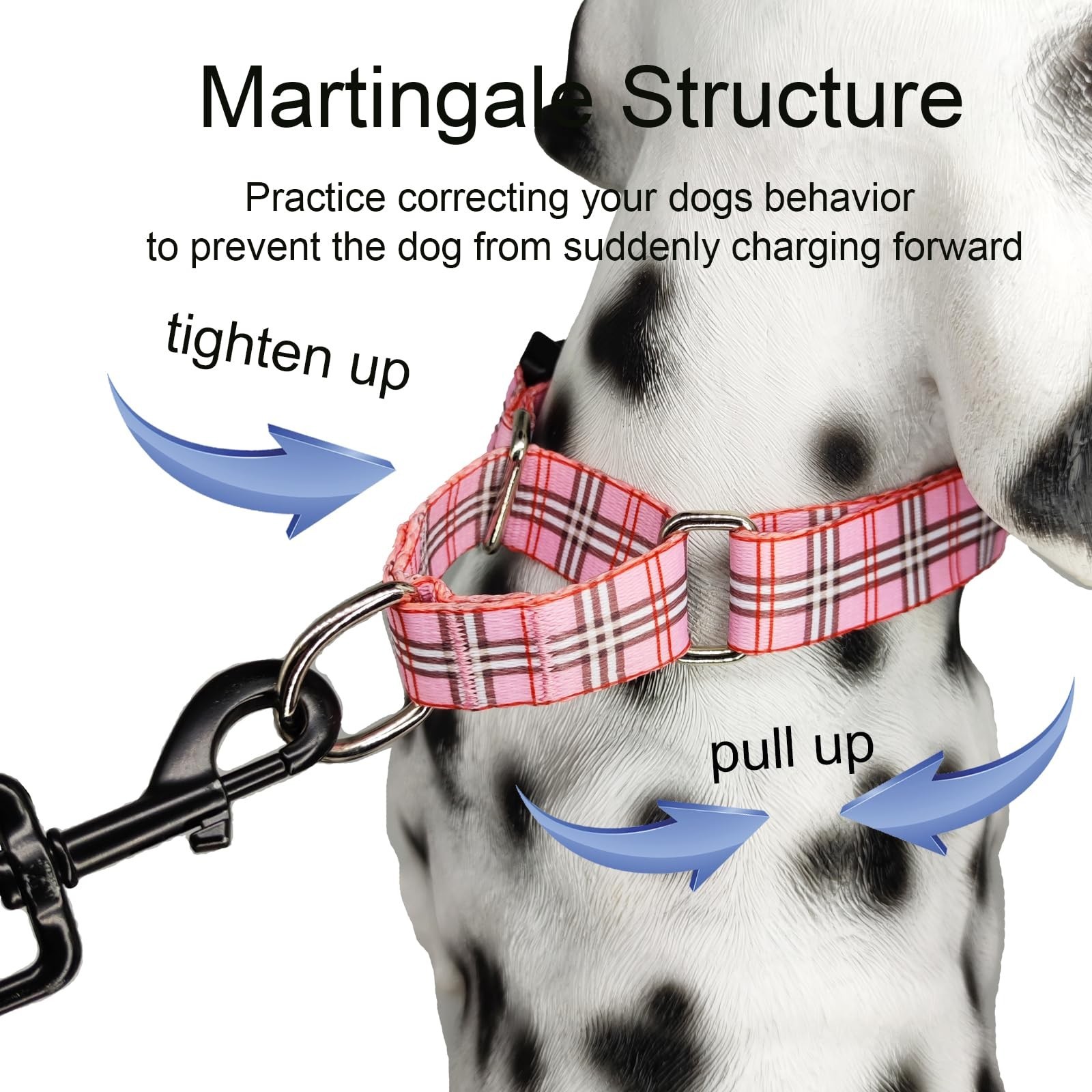 Martingale Collar with Quick Release Buckle Cute Girl Female Training Dog Col…