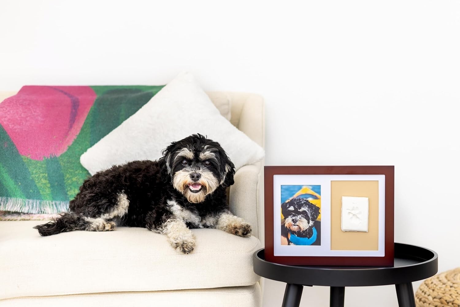 Non-Toxic Paw Print Keepsake Kit – Wall-Mounted Design for Lasting Pet Memories