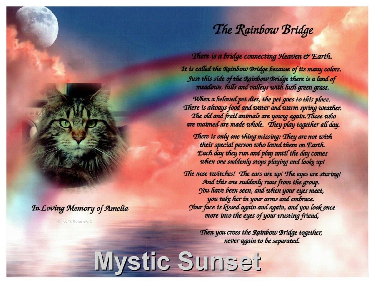The Rainbow Bridge Memorial 14″ x11″ Photo Gift for Loss of a Pet Optional FRAME