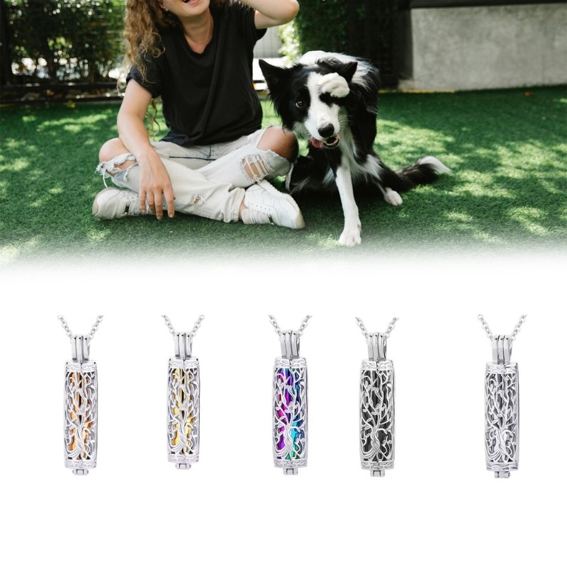 Pet Ashes Necklace Locket Necklace for Animal Pet Mom Locket for Ashes/Hair