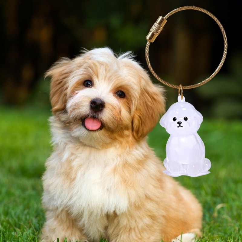 Pet Memorial Keychain Dog Hair Box For Preserving Dog Hair Or Cremation Ashes