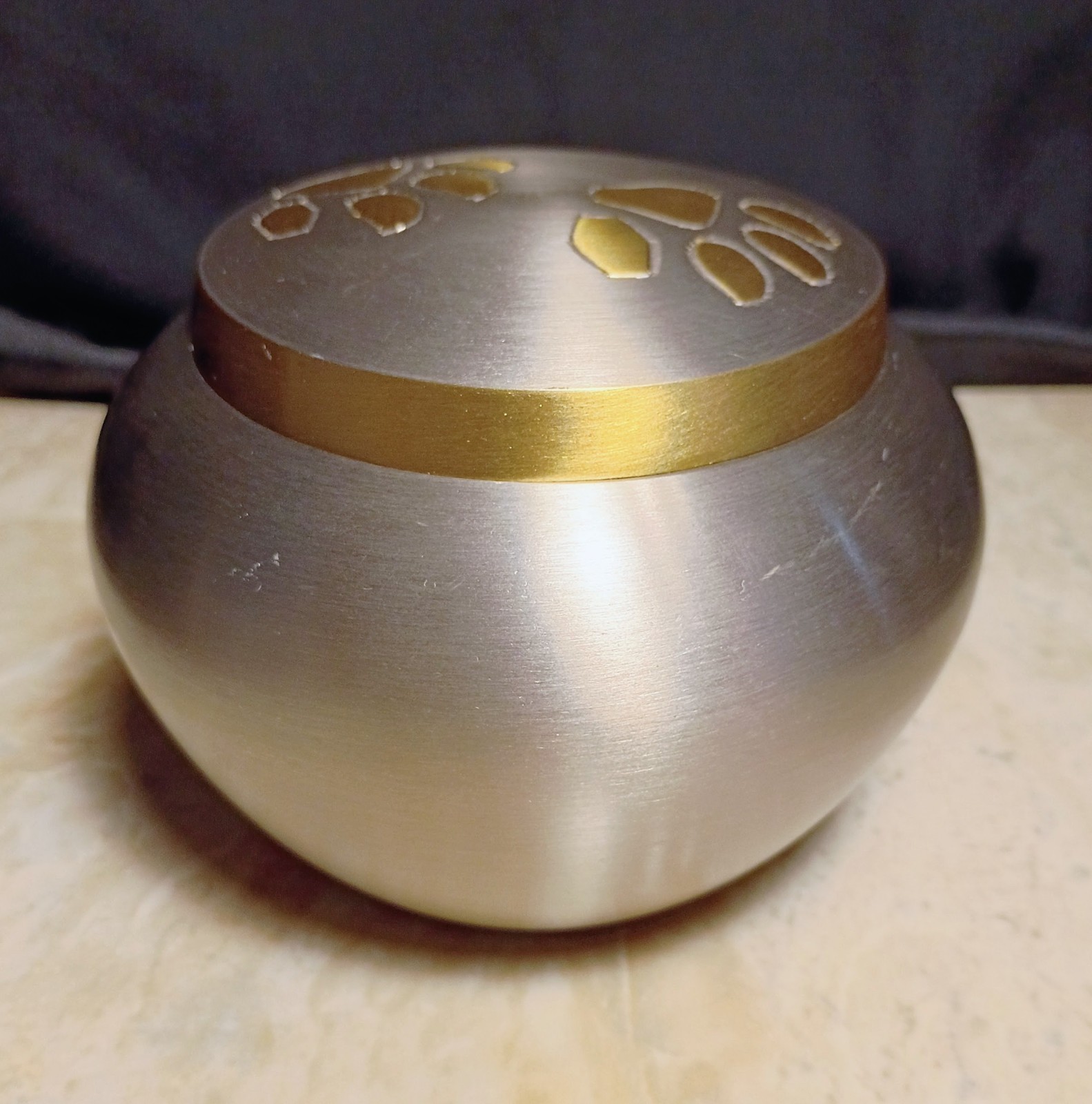 Steel & Brass Pawprint Design Pet Ashes Urn #2- Small, Heavy, Secure, Beautiful