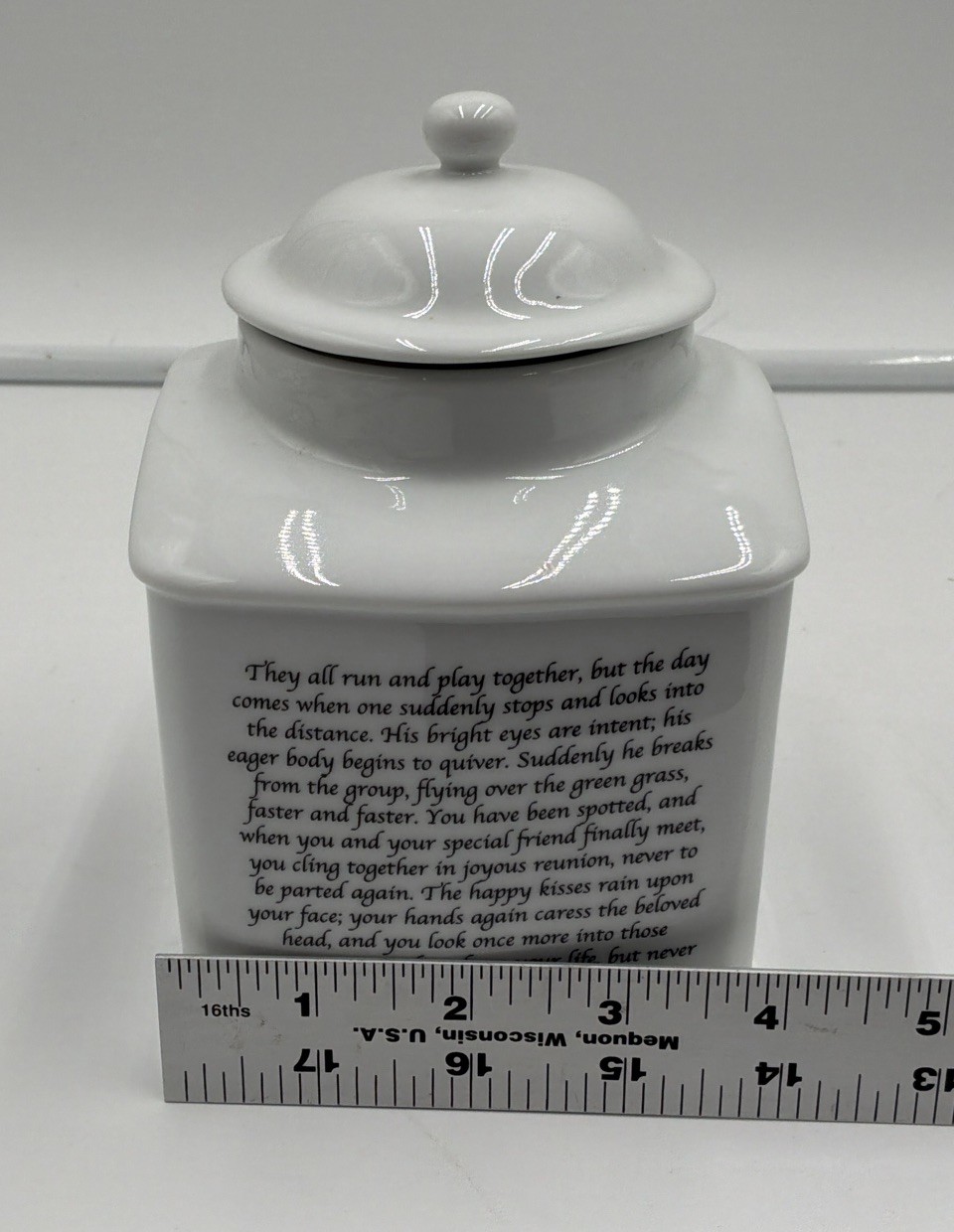 Rosalinde Rainbow Bridge Cat Urn Porcelain Pet Memorial Keepsake Jar USA