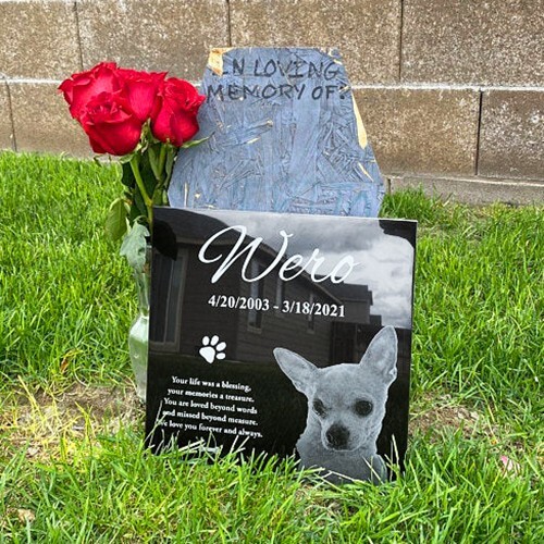 Tombstone Paw Print Pet Memorial Stone Gravestone Picture Grave Garden Dog Puppy