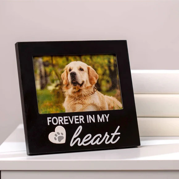 Pearhead Pet Forever In My Heart Memorial Keepsake Picture Frame, Color Varies