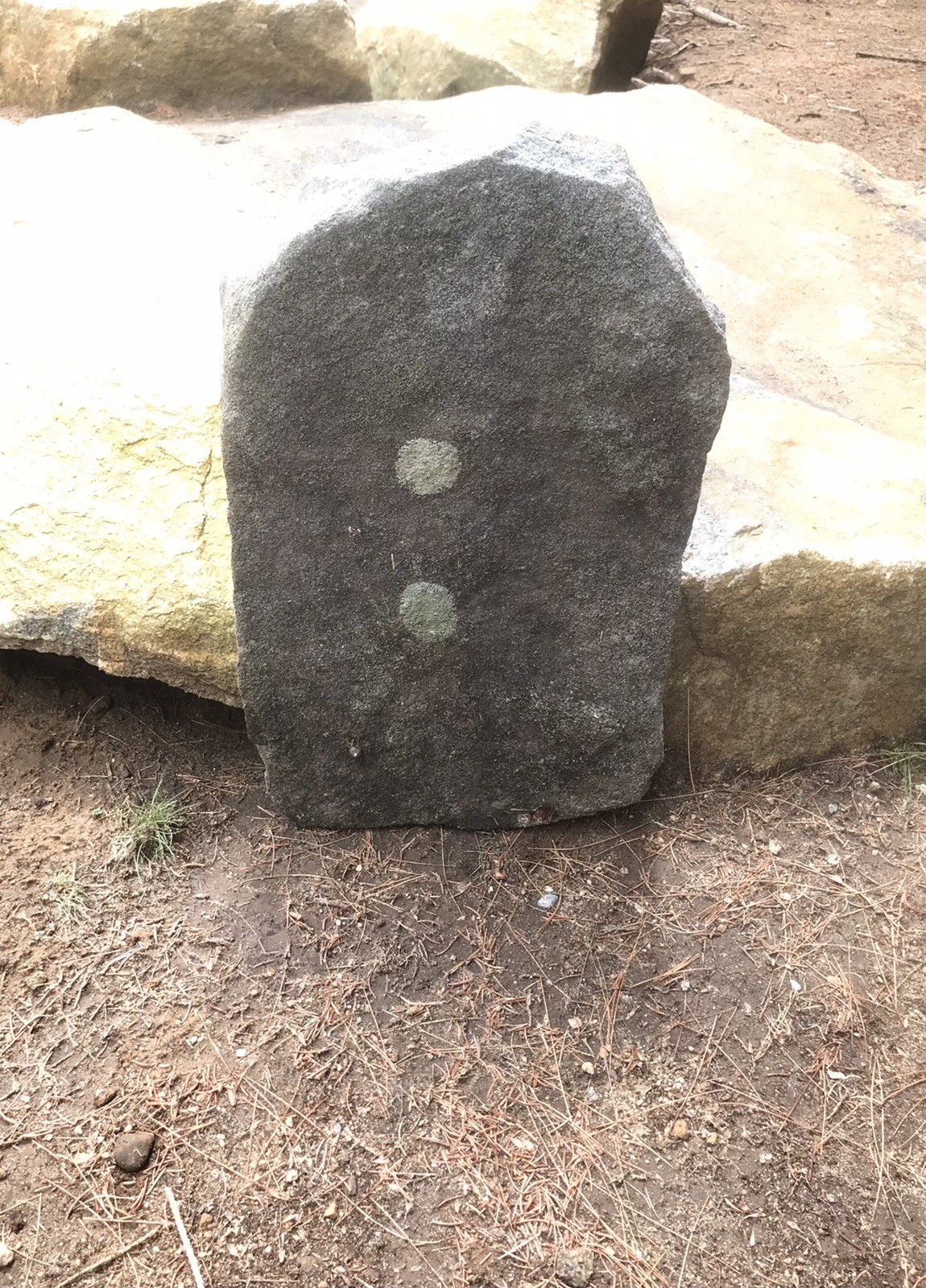 Natural Quartz Granite Stone Grave Marker Headstone Garden Pet Memorial Burial